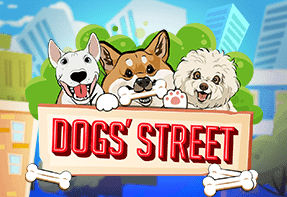 Dog's Street